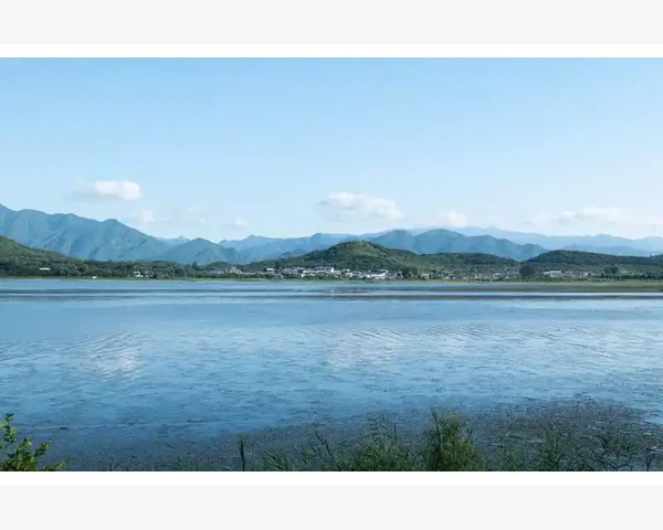 脾胃虚弱食疗调理方法有哪些？